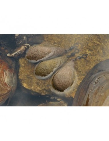 Korda Textured Distance Casting Swivel