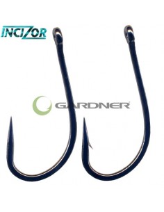 Gardner Incizor
