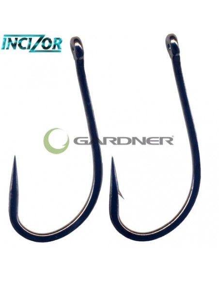 Gardner Incizor