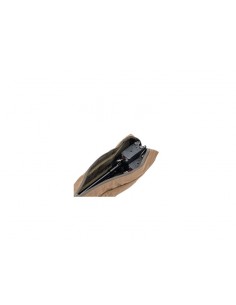 Korda Compac Bankstick Bag 2