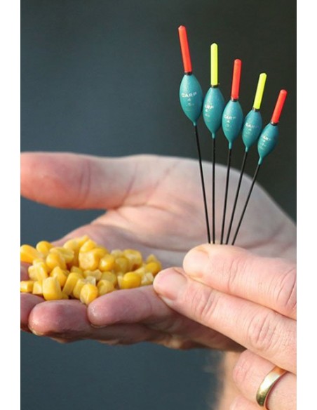 Drennan Carp 4