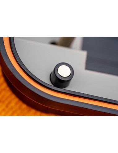 Guru Adjustable Rig Case