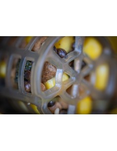 Guru Particle Cap 2