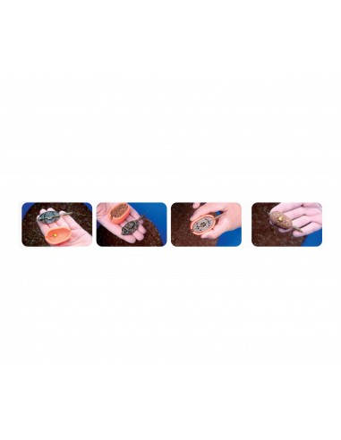 Feenyx Evo Method Mould