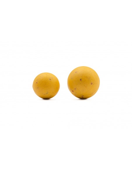 Korda Plastic Wafter Essential Cell