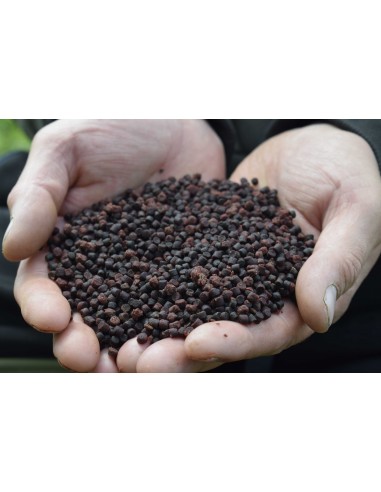 Sonubaits Cheesy Garlic Halibut Pellets