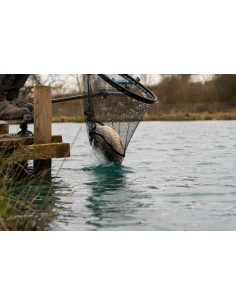 Preston Carp XS Landing Nets 2