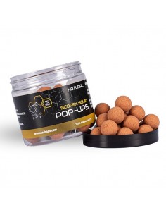 Nash Scopex Squid Pop Ups Natural 2024 2