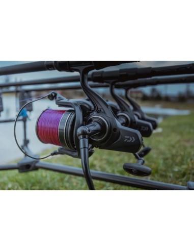 Daiwa 23 Emblem 45 Scw QD