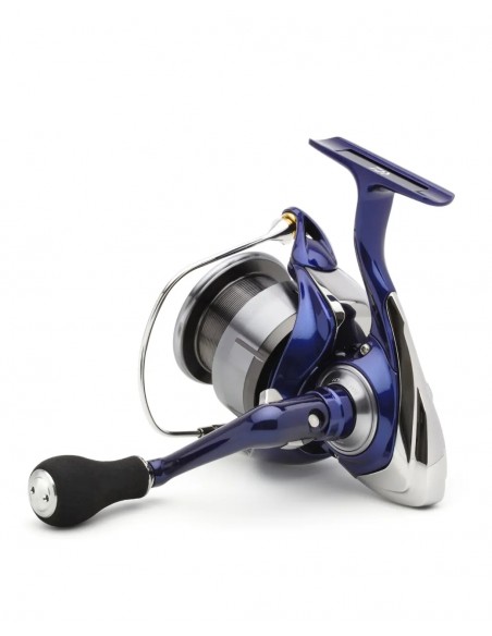 Daiwa 24 TDR Match & Feeder