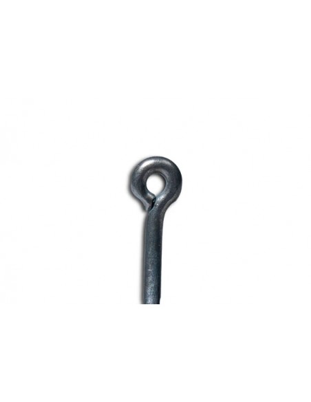 Nash Curve Shank X