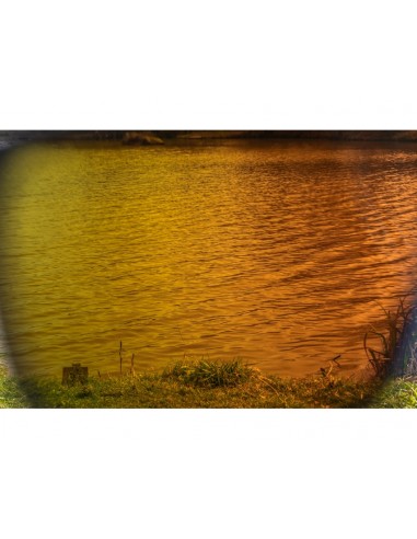 Preston Absolute Wrap Sunglasses Amber Brown
