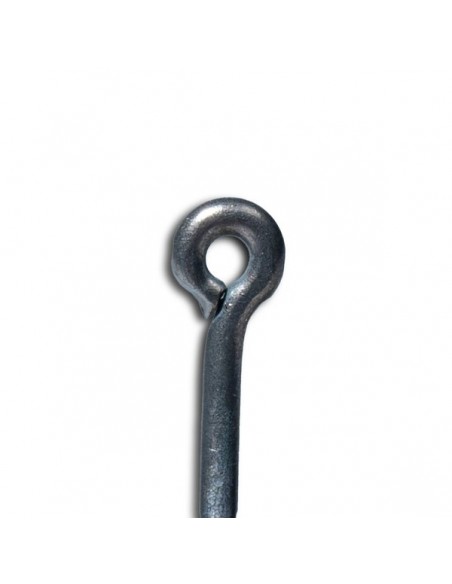 Nash Curve Shank