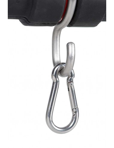 Fox Carpmaster Pro Hd Weigh Bar