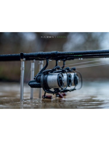 Korda  Kaizen Green