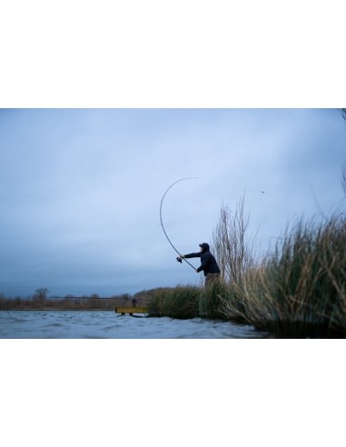 Korda  Kaizen Green