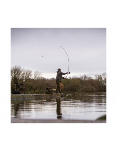 Avid React Rods