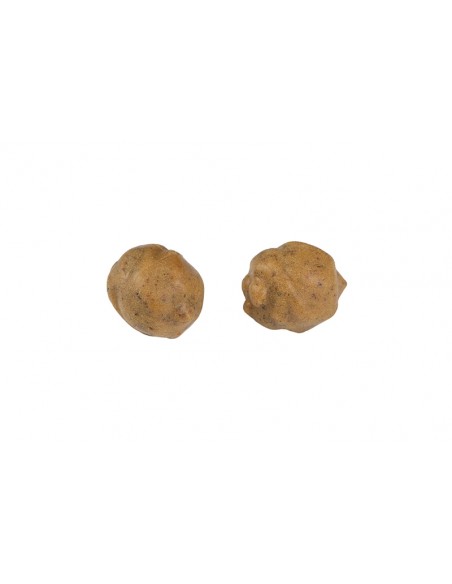 Fox Edges Tigernuts