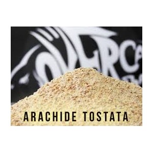 OVER CARP ARACHIDE TOSTATA