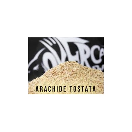 OVER CARP ARACHIDE TOSTATA