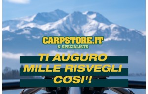 
			                        			Mille Risvegli